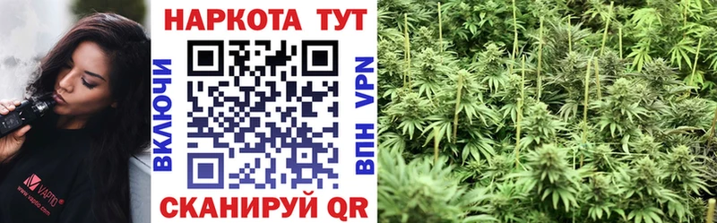Как найти наркотики Барыш COCAIN Меф АМФЕТАМИН Кодеин Alpha-PVP Канабис МЕТАДОН