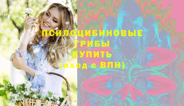 бошки Алзамай