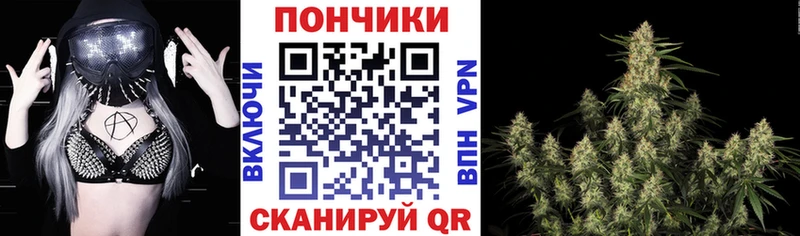 Канабис MAZAR  сколько стоит  Барыш 